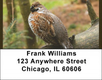 Quail Time Address Labels | LBQBA-57
