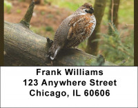 Quail Time Address Labels | LBQBA-57
