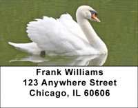 Swans A Swimming Address Labels | LBQBA-63