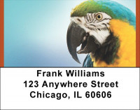 Tropical Birds Address Labels | LBQBA-65