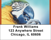 Tropical Birds Address Labels | LBQBA-65