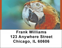 Tropical Birds Address Labels | LBQBA-65