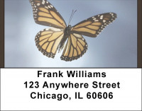 Garden Flutters Address Labels | LBQBA-75
