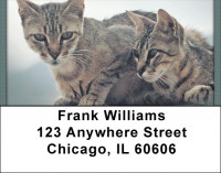 Bengals Address Labels | LBQBA-83