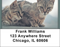 Bengals Address Labels | LBQBA-83
