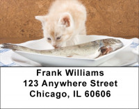 Cat Dreams Coming True Address Labels | LBQBA-84
