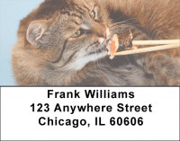 Cat Dreams Coming True Address Labels | LBQBA-84