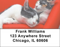 Feline Divas Address Labels | LBQBA-87