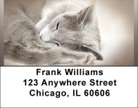 Feline Softness Address Labels | LBQBA-89