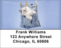 Hanging Out Address Labels | LBQBA-90