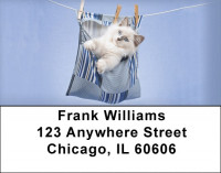 Hanging Out Address Labels | LBQBA-90