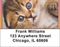 Just Too Cute Address Labels | LBQBA-91