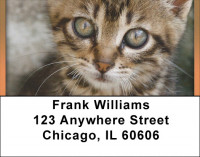 Just Too Cute Address Labels | LBQBA-91