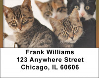 Just Too Cute Address Labels | LBQBA-91