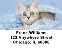 Kitty Blues Address Labels | LBQBA-93