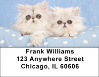 Kitty Blues Address Labels | LBQBA-93