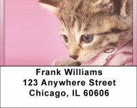 Playful Perky Kittens Address Labels | LBQBA-94