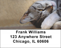 Who Cares Address Labels | LBQBA-99