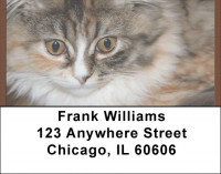 World Of Felines Address Labels | LBQBB-01