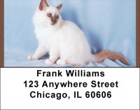 World Of Felines Address Labels | LBQBB-01