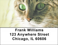 You Know The Look Address Labels | LBQBB-02