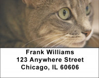 You Know The Look Address Labels | LBQBB-02
