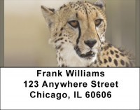 Cheetahs Address Labels | LBQBB-03