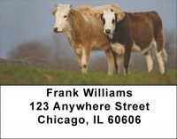 Cow Portraits Address Labels | LBQBB-06