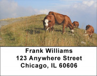 Cow Portraits Address Labels | LBQBB-06
