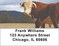 Cow Portraits Address Labels | LBQBB-06