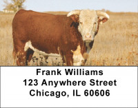 Cow Portraits Address Labels | LBQBB-06