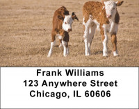 Baby Calves Address Labels | LBQBB-07