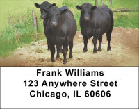 Black Angus Cattle Address Labels | LBQBB-08