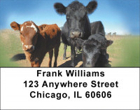 Black Angus Cattle Address Labels | LBQBB-08