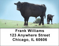 Black Angus Cattle Address Labels | LBQBB-08