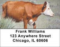 Cattle On Western Prairie Address Labels | LBQBB-09