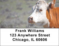 Cattle On Western Prairie Address Labels | LBQBB-09