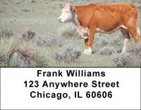 Cattle On Western Prairie Address Labels | LBQBB-09