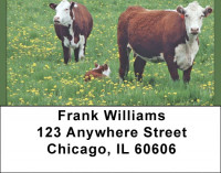 Cows With Calves Address Labels | LBQBB-10