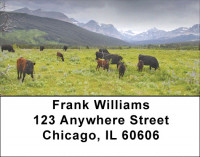 Grazing Cattle Address Labels | LBQBB-11