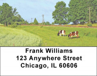 Grazing Cattle Address Labels | LBQBB-11