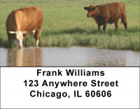 Grazing Cattle In Tall Grass Address Labels | LBQBB-12
