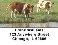 Grazing Cattle In Tall Grass Address Labels | LBQBB-12