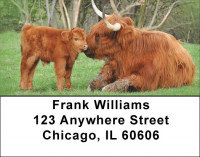 Highland Cow With Newborn Calf Address Labels | LBQBB-13