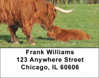 Highland Cow With Newborn Calf Address Labels | LBQBB-13