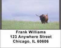 Longhorns Address Labels | LBQBB-14