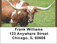 Longhorns Address Labels | LBQBB-14