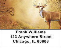 Deer On Fall Morning Address Labels | LBQBB-17