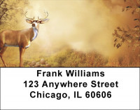 Deer On Fall Morning Address Labels | LBQBB-17