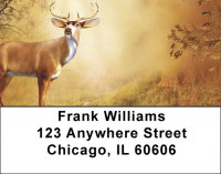 Deer On Fall Morning Address Labels | LBQBB-17